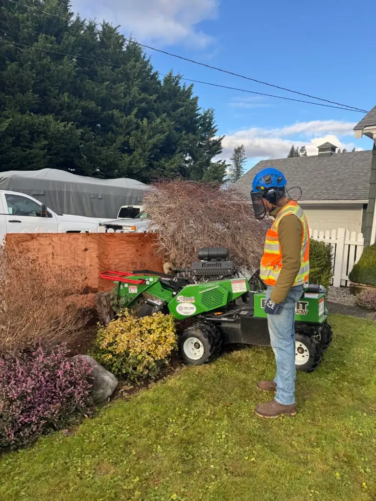 Stump Grinding Service in Snoqualmie