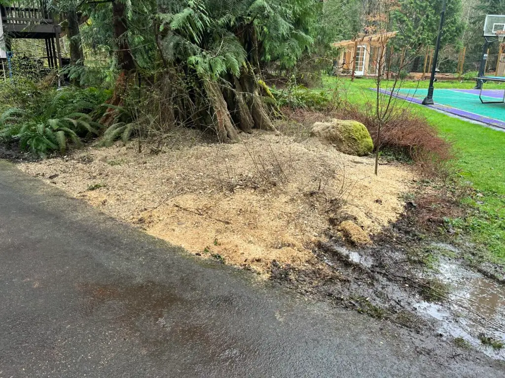 Stump Grinding Service in Fall City