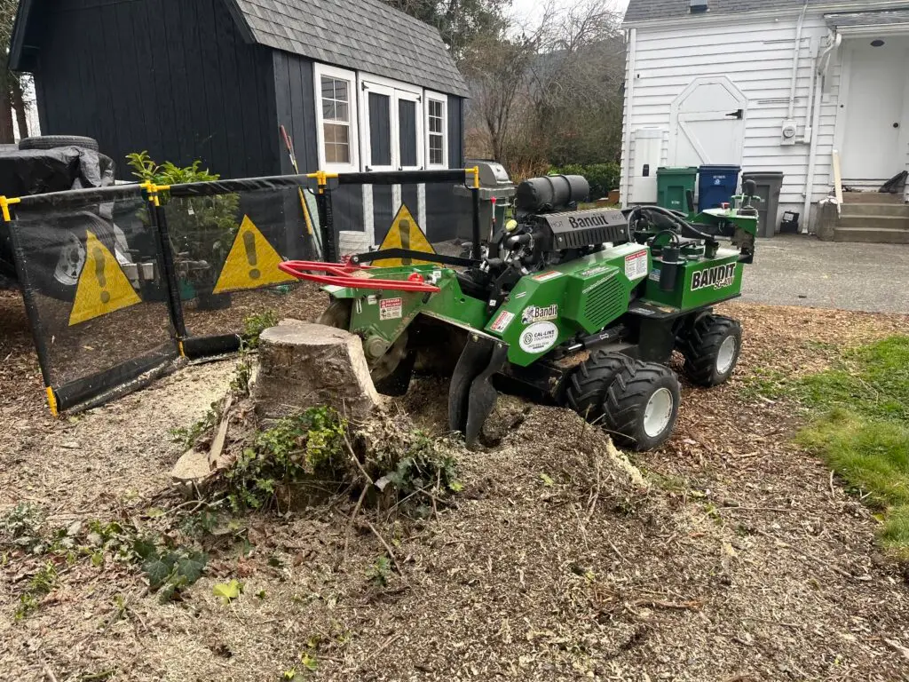 Stump Grinding Service in Snoqualmie