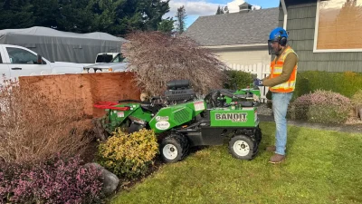 Stump Grinding Service Snoqualmie Blue Ox Stump Removal